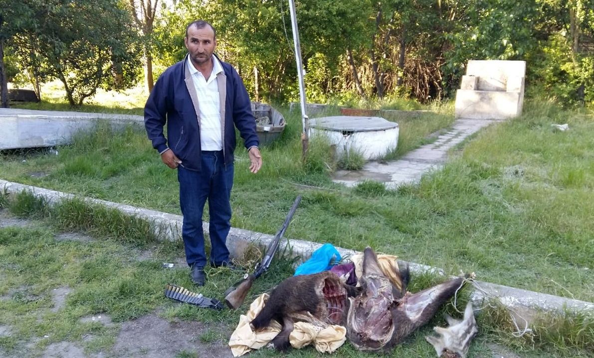 Milli Parkda çöl donuzu ovlayan şəxs saxlanıldı - FOTO