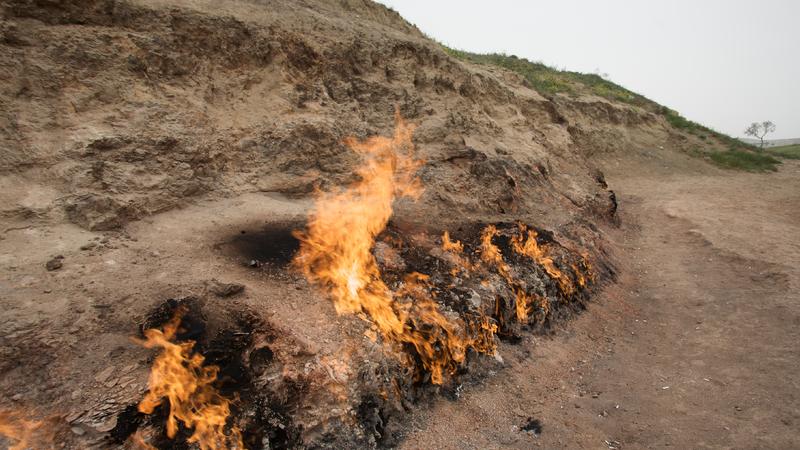 Qoruqlara giriş qadağası ləğv olundu