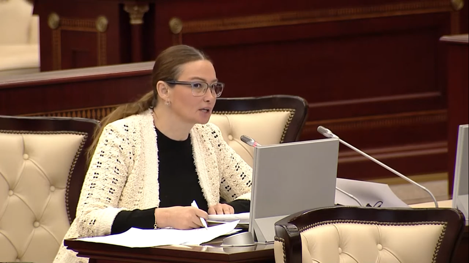 Azərbaycanda ətraf mühit və onun mühafizəsinə xüsusi diqqət yetirilir - Deputat