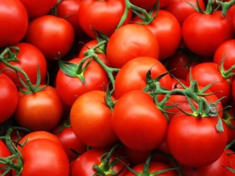 Azərbaycanın ən çox ixrac etdiyi mal: pambıq və qızıl pomidora uduzdu