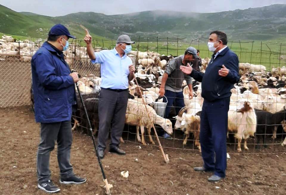 İcra başçısı yaylaqda çobanlarla görüşdü - FOTO