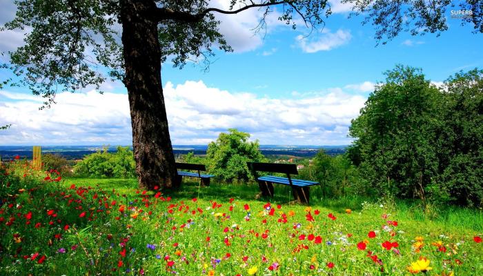 Sabah 38 dərəcə isti olacaq