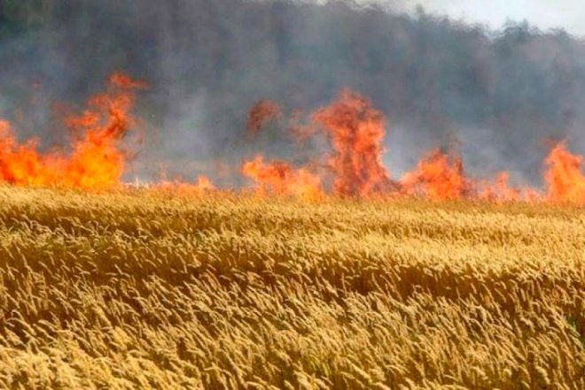 İki nazirlik birgə müraciət yaydı