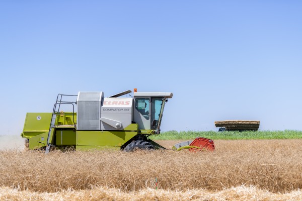 Azərbaycanda taxıl sahələrinin 11,4 faizində biçin başa çatdı