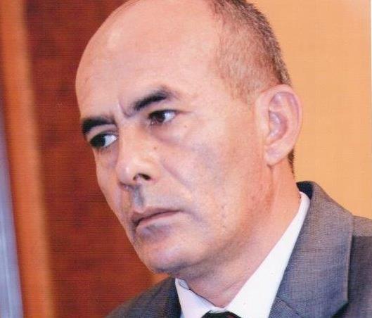 Milli qurtuluşumuzun zəfər yürüşü - Mehman Qaibov YAZIR