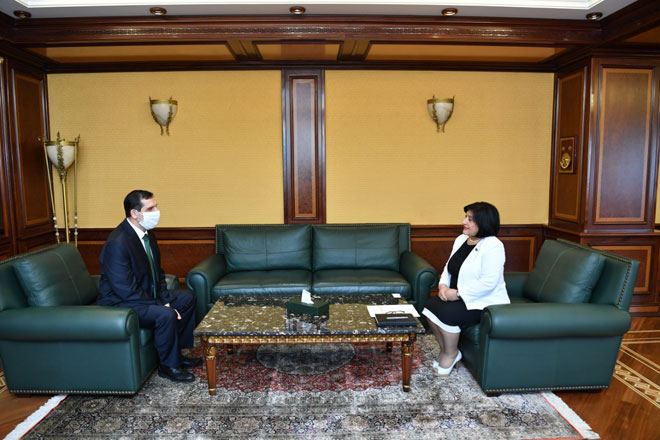 Sahibə Qafarova Türkiyə səfiri ilə görüşdü