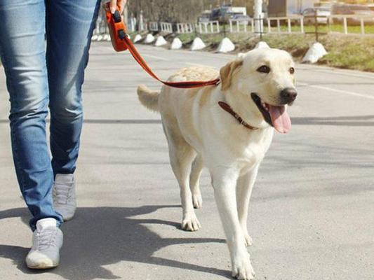 Sərt karantində onların da küçəyə çıxmasına İCAZƏ VAR