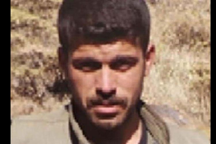 Türkiyədə başına 1 milyon pul qoyulan terrorçu zərəsizləşdirildi