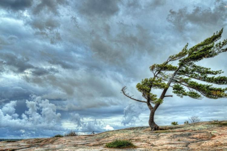 Leysan yağacaq, güclü külək əsəcək - HAVA PROQNOZU  