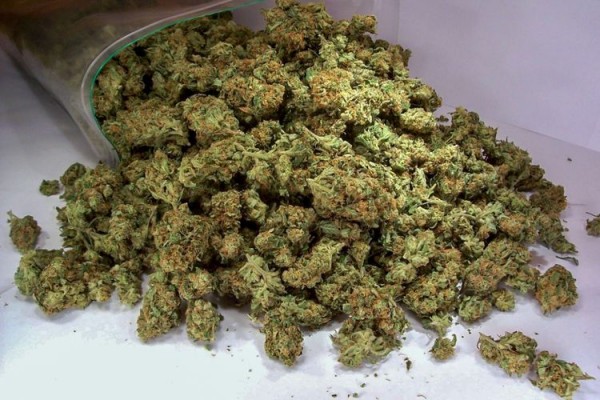 Gəncə sakinindən 10 kq narkotik götürüldü