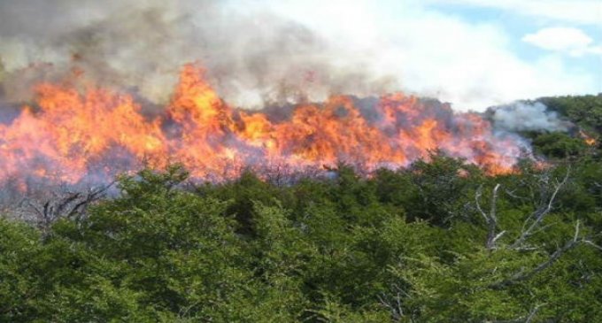 Ağsu aşırımında YANĞIN - 2 helikopter havaya qalxdı