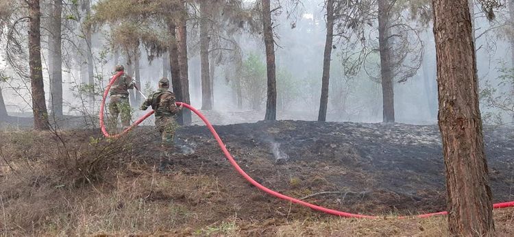Ağsu aşırımında baş verən yanğın söndürüldü