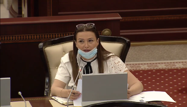 “Muzeylər elektriklə təmin olunmayıbsa, bunlar necə fəaliyyət göstərə bilər?” - Deputat