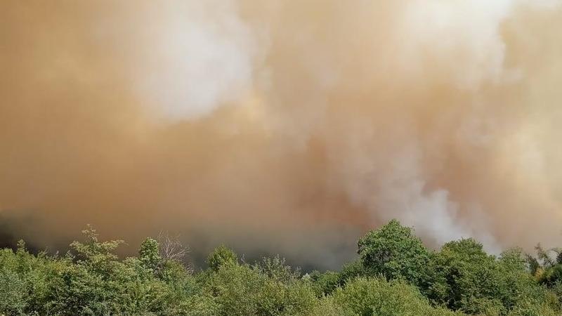 Paytaxtda güclü meşə yanğını başlayıb