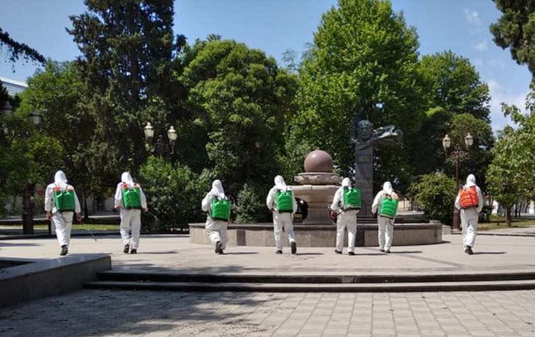 Gəncədə növbəti dezinfeksiya - FOTO