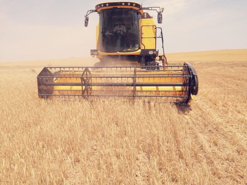 Pandemiya dövründə cəbhə xəttindəki rayonda görülən işlər...