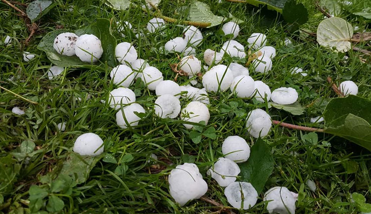 Bu rayonlara dolu yağıb - FAKTİKİ HAVA