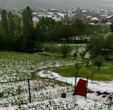 Gədəbəyə yağan qar və dolu rayona ziyan vurdu - İcra Hakimiyyəti