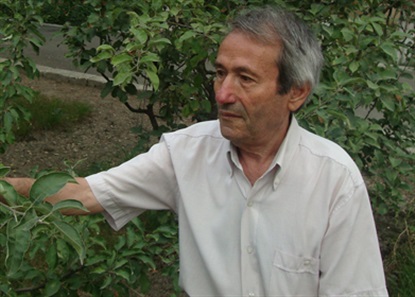 Bir yeriniz ağrıyanda... - Loğman MƏSLƏHƏTİ