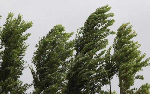 Nazirlikdən hava ilə bağlı əhaliyə XƏBƏRDARLIQ