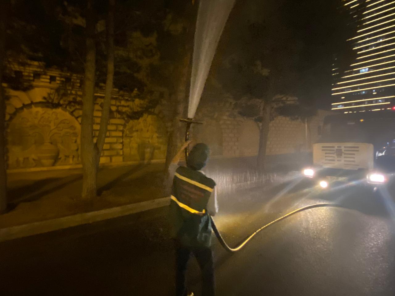 Yayda Bakıdakı yaşıllıqlara gecələr qulluq göstərilir - FOTO