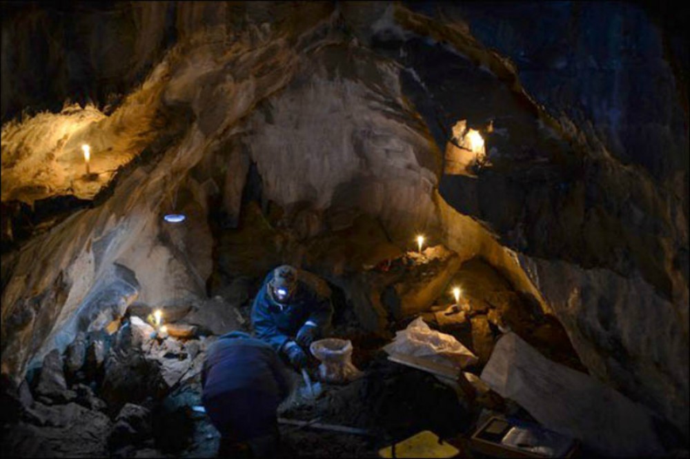 Mağara şirlərinin 13 min illik məzarlığı aşkarlandı