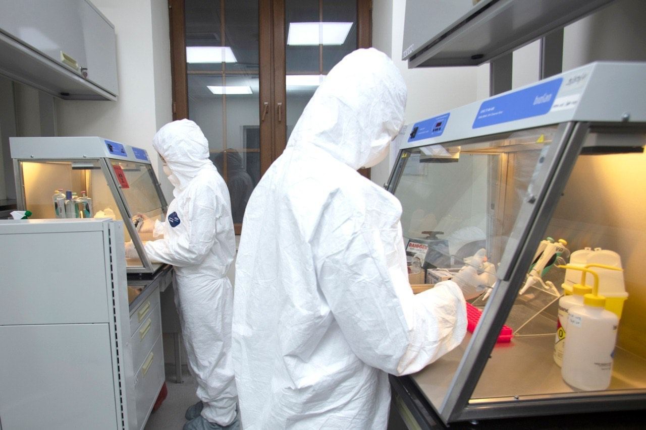 Koronavirusla mübarizə üçün planlar hazırlamışıq - Yaqut Qarayeva