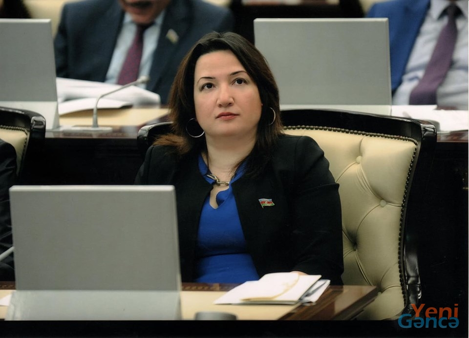 Pərvin Kərimzadə: Azərbaycan dünyada qlobal problemlərin həllinə töhfə verən ölkə kimi tanınır