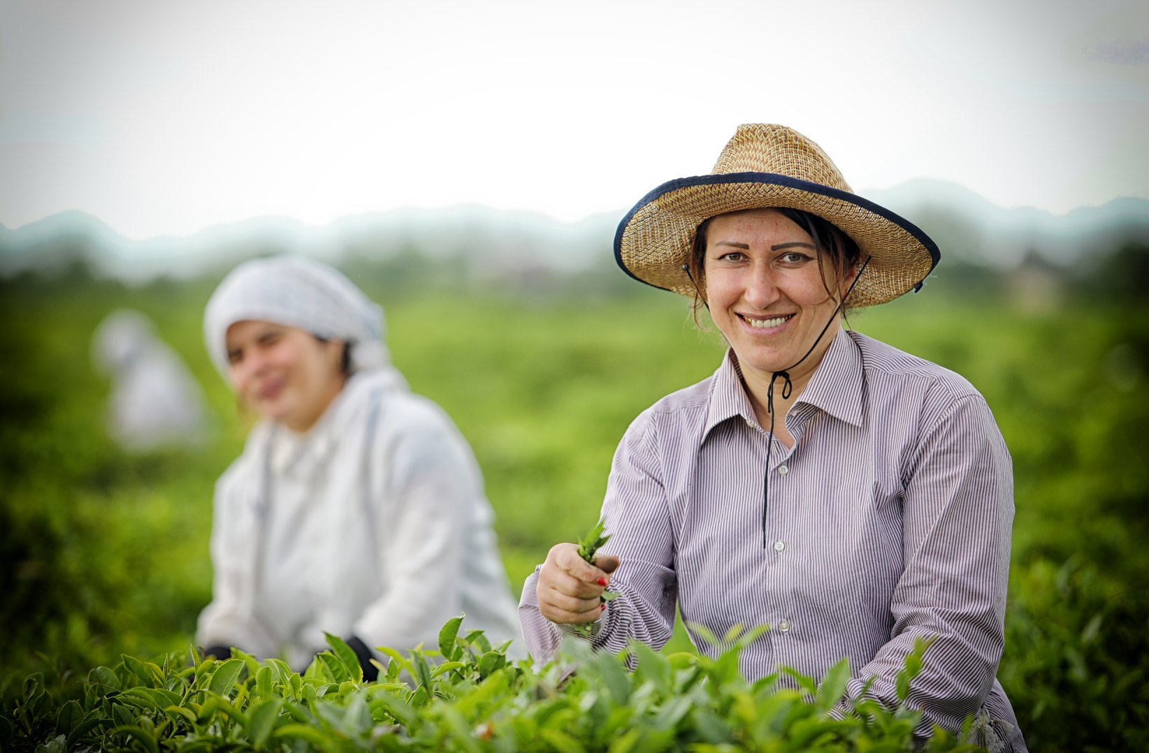 Aqrobizneslə məşğul olan fermer qadınların sayı artır