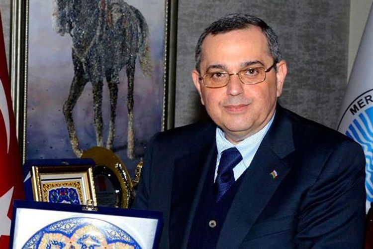 Xarici İşlər Nazirliyinin Konsulluq İdarəsinin rəisi SAXLANILDI