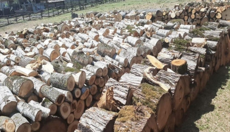 Oduncaq tədarükünə start verildi