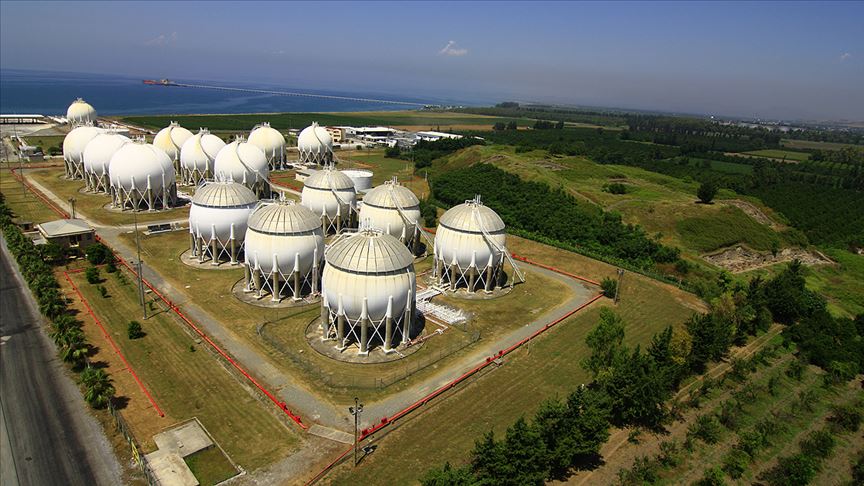 Türk şirkəti rus terminalını satın aldı