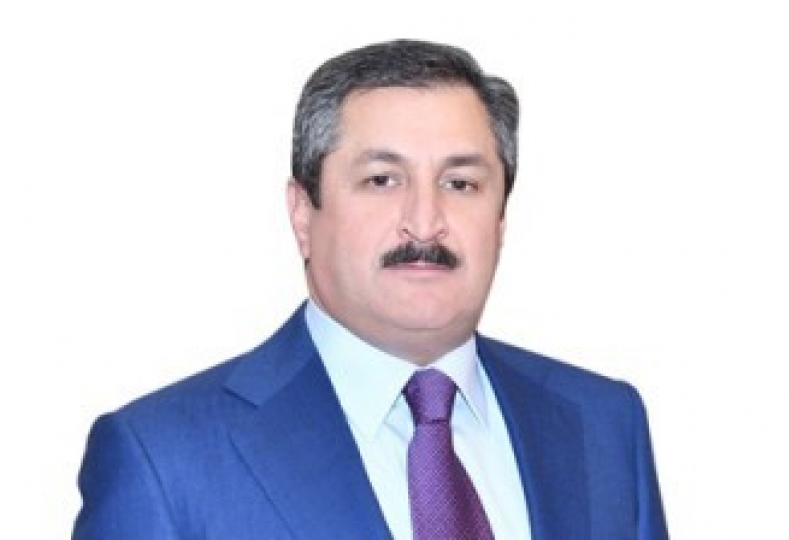 Tovuz təxribatı tam mənası ilə ifşa olundu - Malik Həsənov