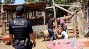 Polis qurbanlıq heyvanların satış yerlərində reyd keçirdi