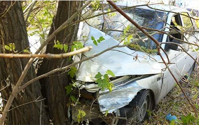 Şabranda “Mercedes” ağaca çırpıldı - 2 ölü