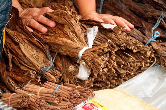 Azərbaycan tütün ixracına başlayıb