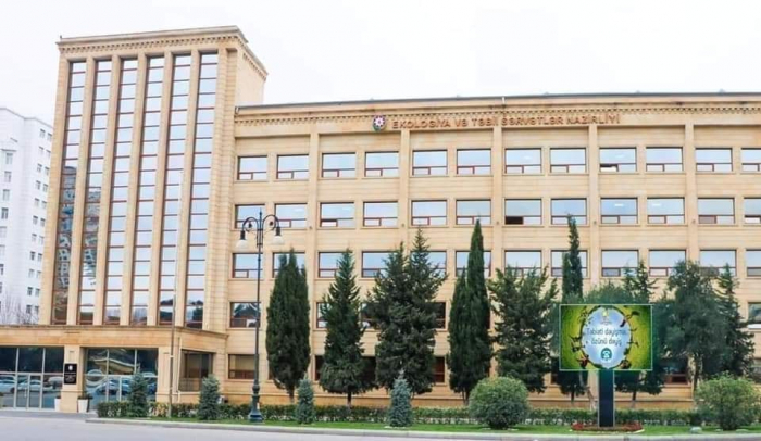 Ağacları zədələyən şəxs cəzalandırıldı