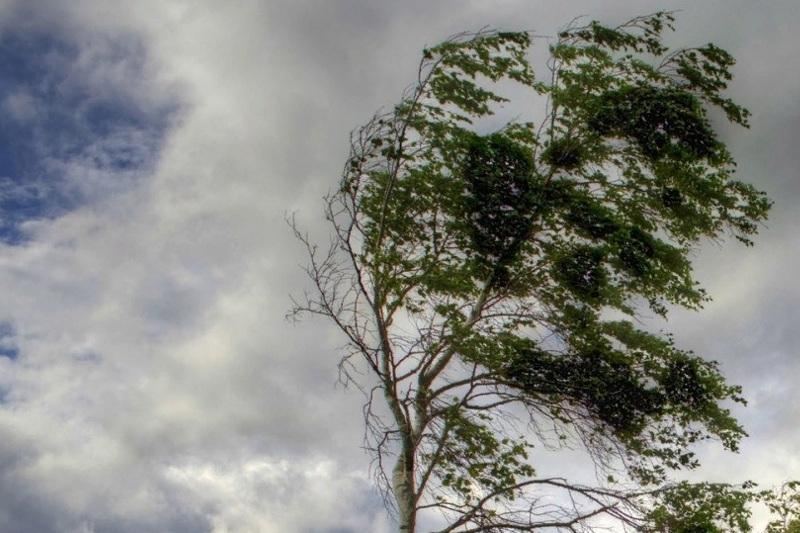 Bakıda külək əsəcək, yağış yağacaq – Sabahın HAVASI