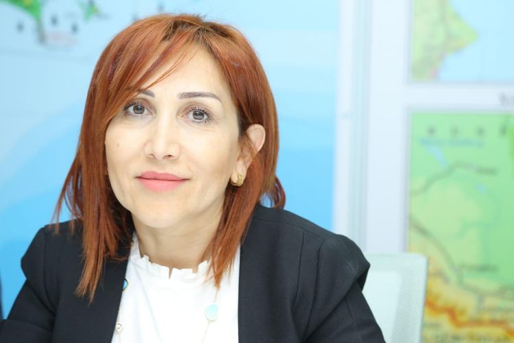 Bakıda ağacları məhv etmək istədilər 