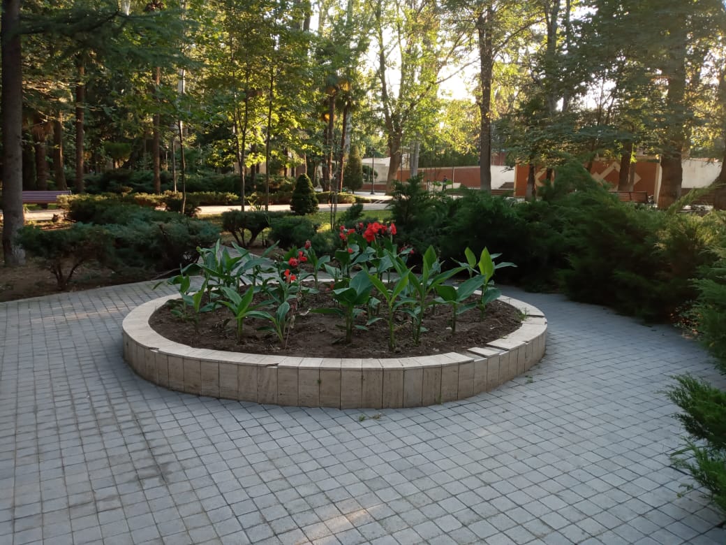 Gəncədə abadlıq işləri davam edir - FOTO