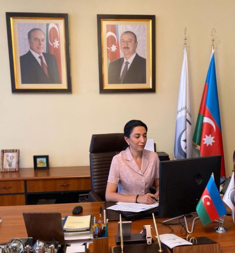 Ombudsman Səbinə Əliyeva onlayn görüş keçirdi – FOTO