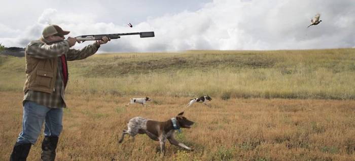 Bu rayonlarda qanunsuz ov edənlər cərimələndi