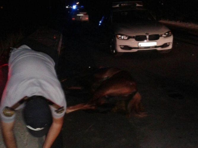 Tərtərdə yük maşını atlını vurub qaçdı: 1 ölü
