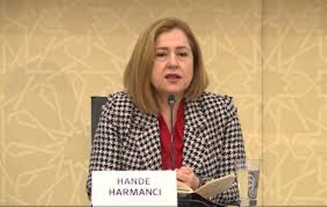 “Münaqişəli vəziyyət COVID-19-un yayılmasının qarşısını almaqda çətinliklər yaradır” - Hande Harmancı