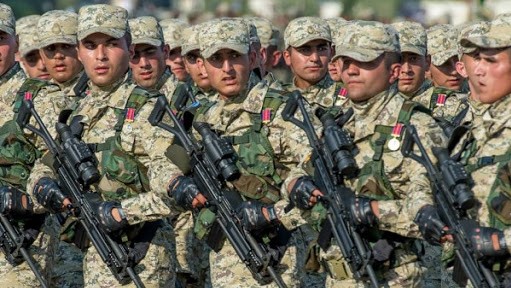 “Ordumuzda peşəkar hərbçilər kifayət qədərdir” - RƏSMİ