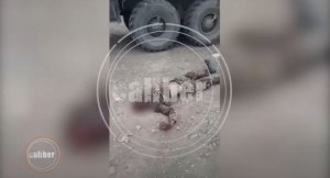 “Caliber” cəbhədən yeni görüntüləri paylaşdı - VİDEO