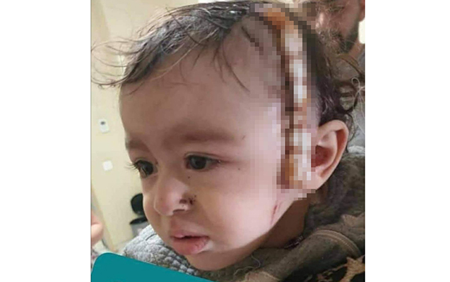 Erməni faşistlərinin təxribatı Gəncə sakinlərini qorxutmur  