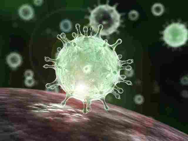 Koronavirus dəridə 11 saat yaşaya bilər