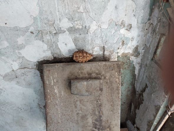Bakıda əl qumbarası tapıldı - FOTOLAR