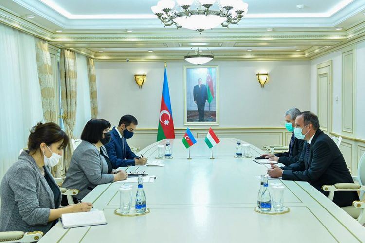 Sahibə Qafarova Macarıstan səfiri ilə görüşüb